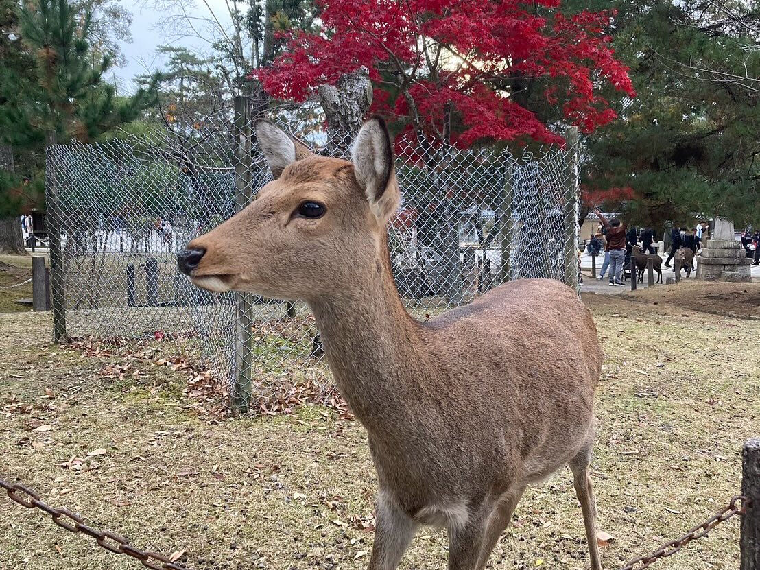 社員が旅先で出会った風景をご紹介します✈️