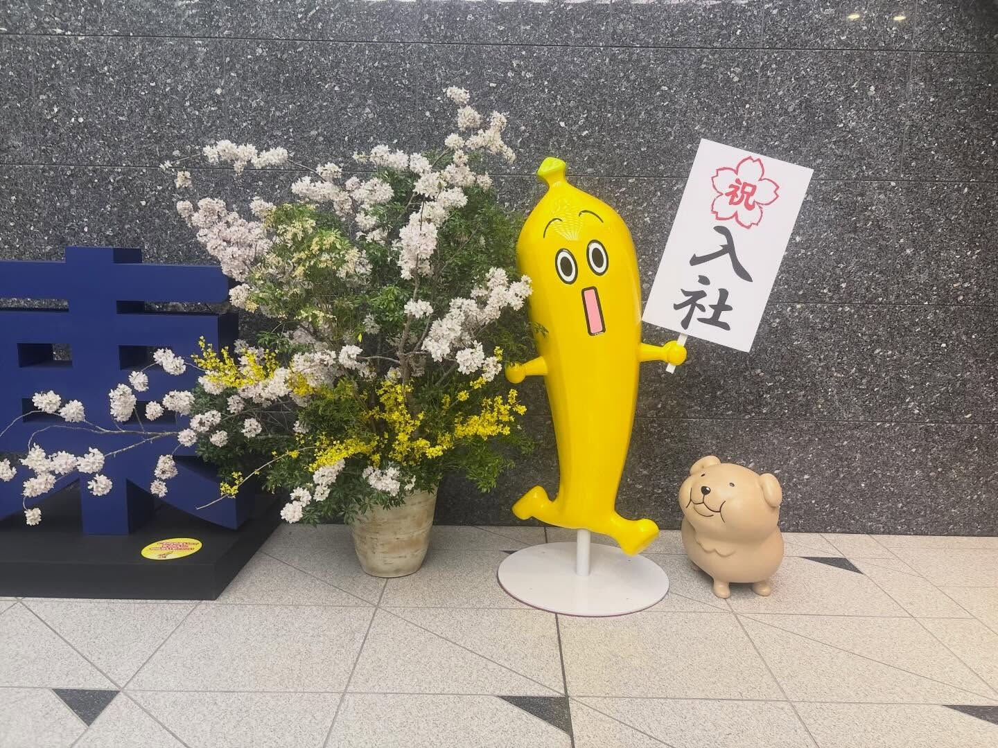 満開の桜とやさしい空間にほっこり